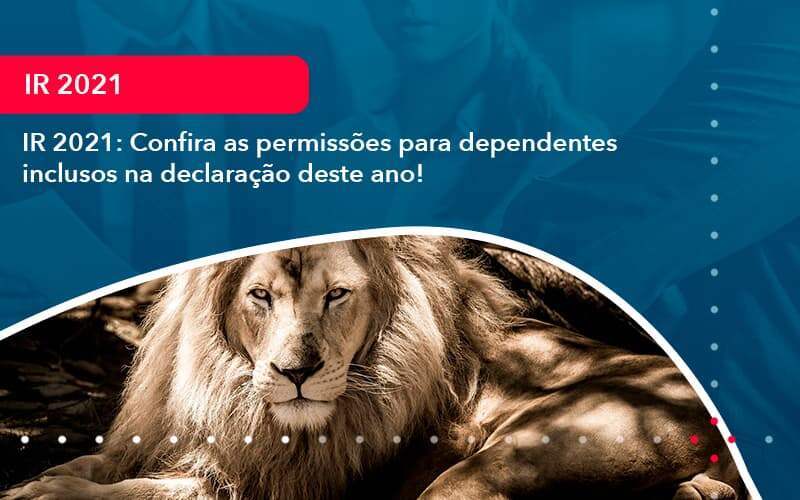 IR 2021: Confira As Permissões Para Dependentes Inclusos Na Declaração Deste Ano!
